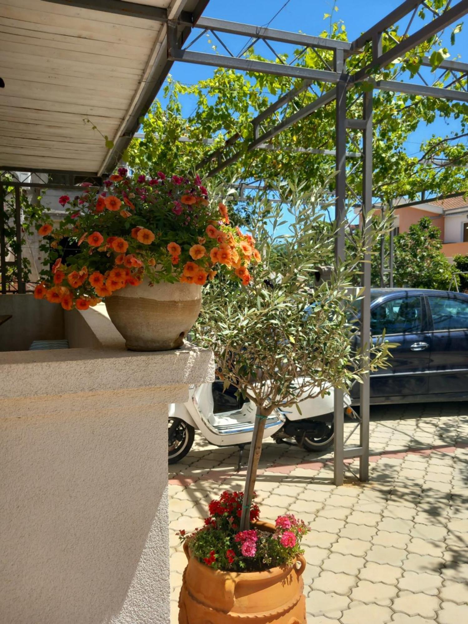 Vila Nina Donji Stoj Ulcinj Exterior foto